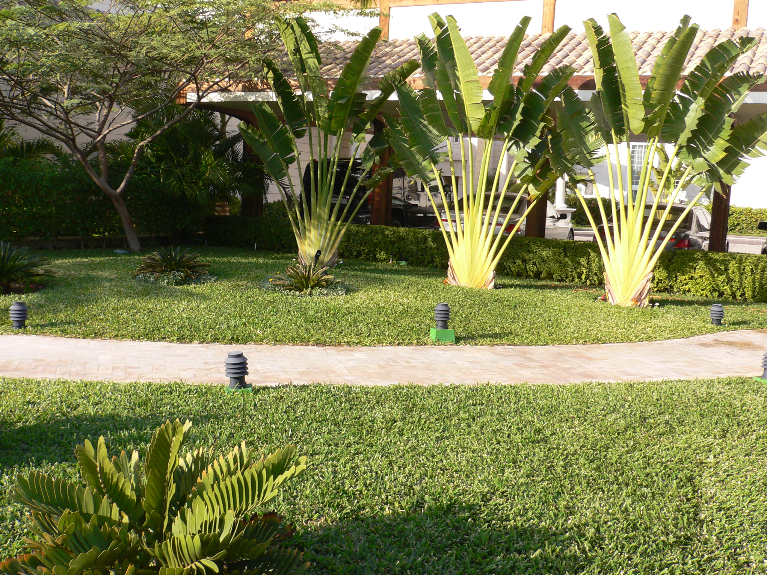 تصميم حدائق